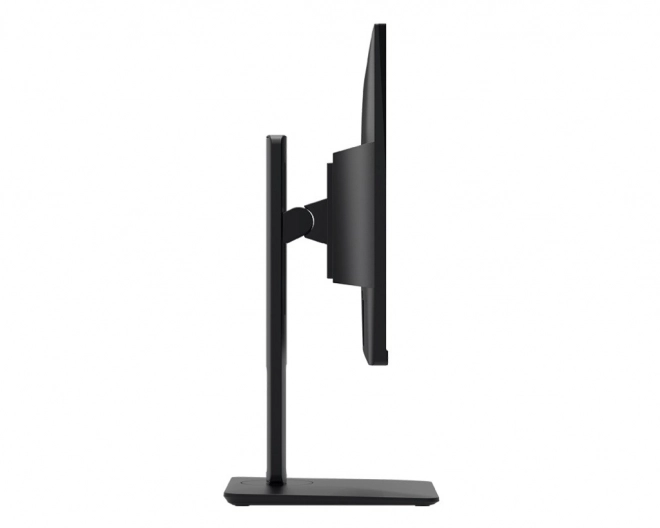 Monitor Pro 24,5 inch LED FHD Flat 100Hz Negru