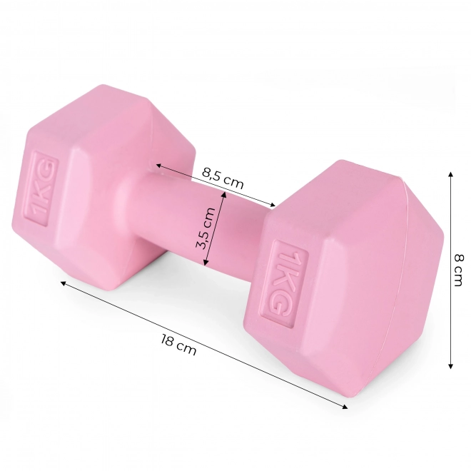 Gantere roz 2x1 kg ModernHome