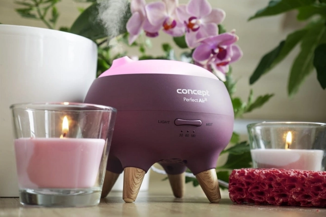 Difuzor de aromă Concept Perfect Air Berry