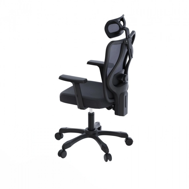 Scaun ergonomic de birou Onyx