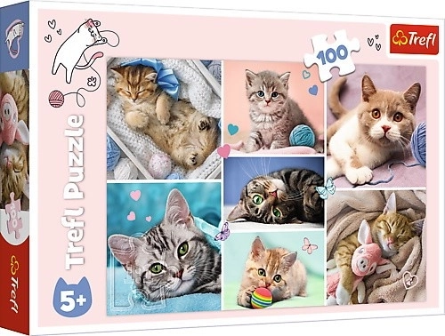 Puzzle alfabet minunat E & F Ravensburger 1000 piese