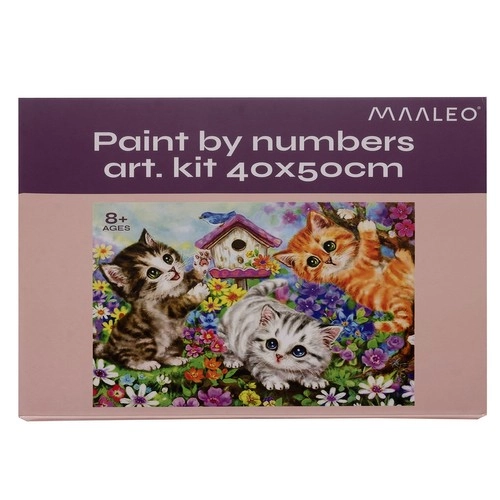 Set complet gata de pictat