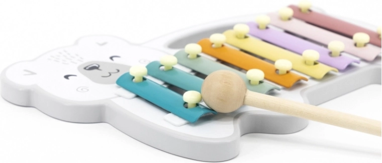 Primii pași în lumea muzicii