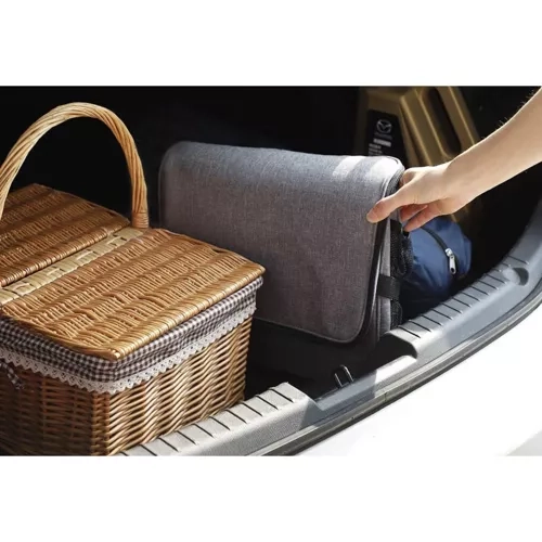 Geantă Termică 40L Plajă și Picnic