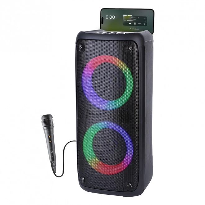 Box portabil cu bluetooth și karaoke