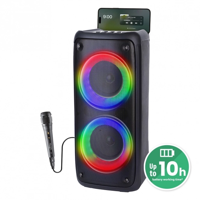 Box portabil cu bluetooth și karaoke