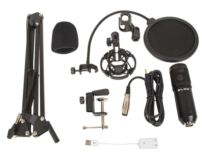 Microfon de studio cu suport