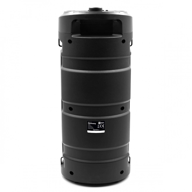 Receptor Bluetooth Harmony cu funcție karaoke