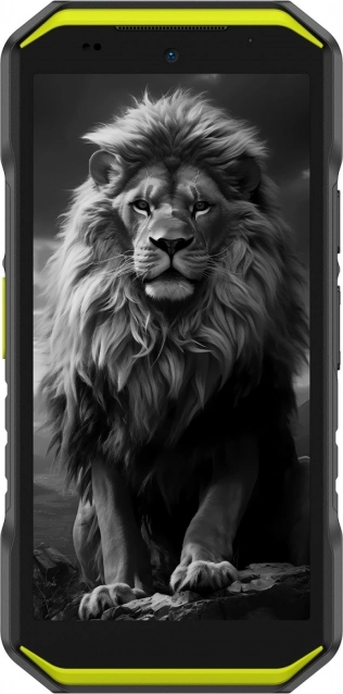 Telefon inteligent Armor X32 Pro 5G 8/256GB Verde