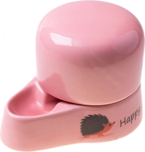 Ceramică igienică cu glazură lucioasă