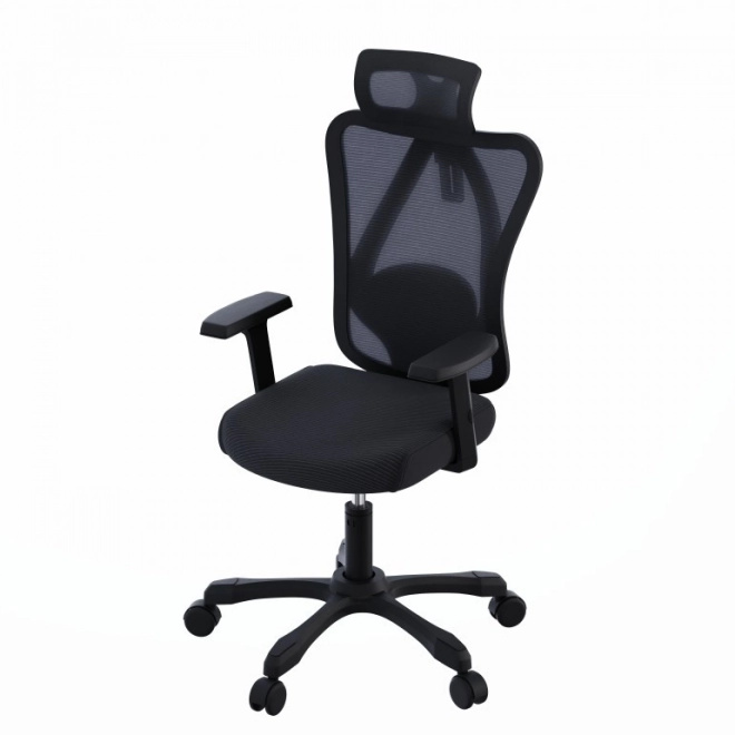 Scaun ergonomic de birou Onyx