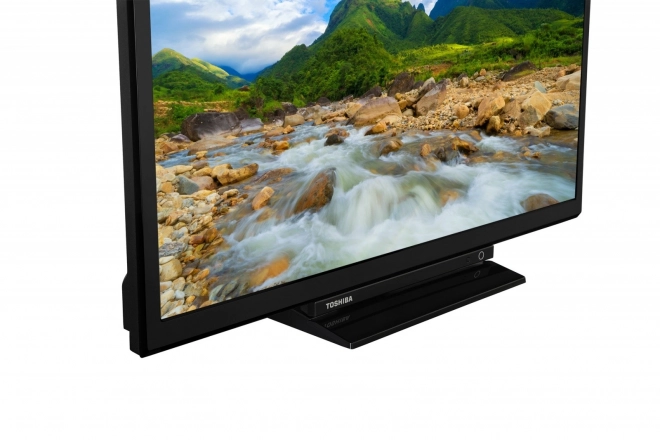 Televizor LED 24 inch