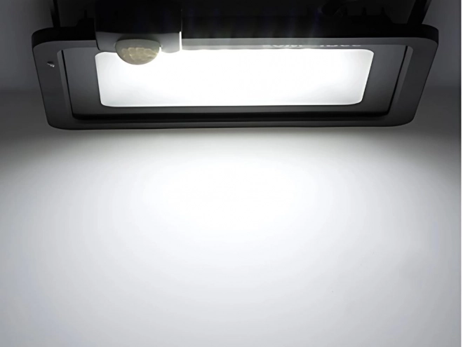 Reflector LED Exterior 30W cu Senzor de Mișcare și Amurg IP66