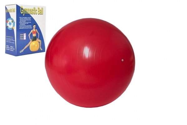 Minge de gimnastică - 55 cm