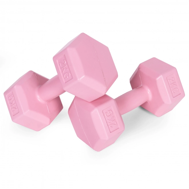 Set de gantere roz 2x2 kg ModernHome pentru fitness