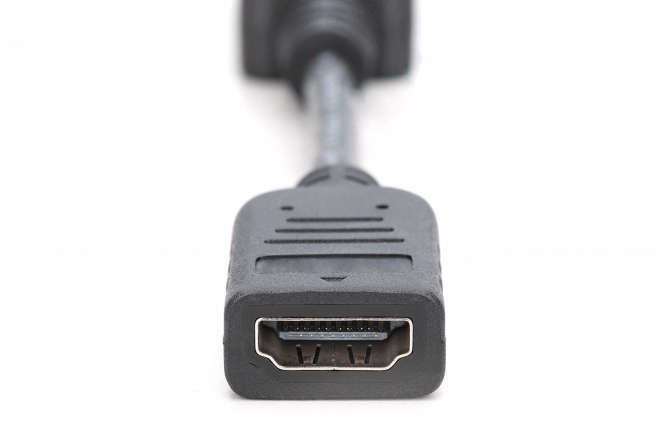 Cablu adaptor DisplayPort cu încuietoare 1080p 60Hz FHD tip DP/HDMI A M/F negru 0,15m