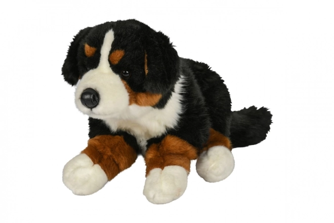 Câine Bernese de pluș 42 cm