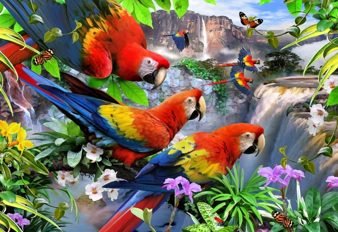 Puzzle din lemn Insula Papagalilor
