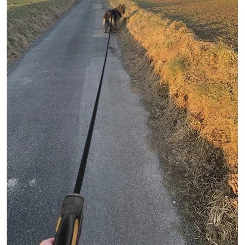Spre retrctabilă pentru câini 8m/50kg Purlov