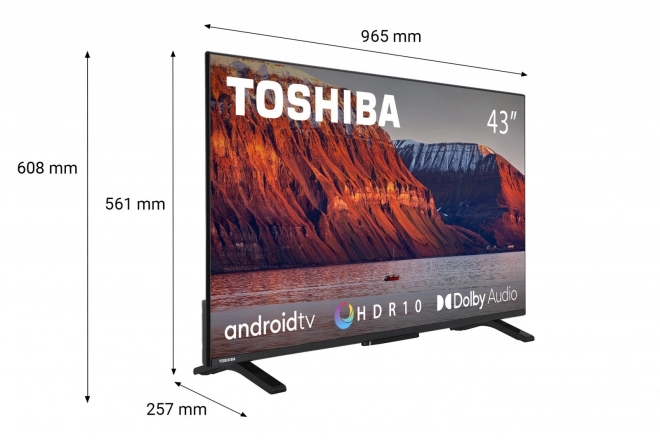 Televizor LED de 43 de inch 43LA2363DG
