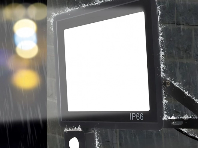 Reflector LED Exterior 30W cu Senzor de Mișcare și Amurg IP66