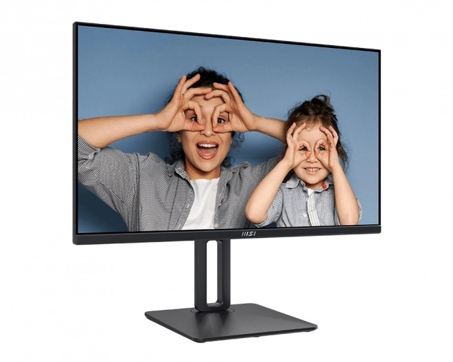 Monitor Pro 24,5 inch LED FHD Flat 100Hz Negru
