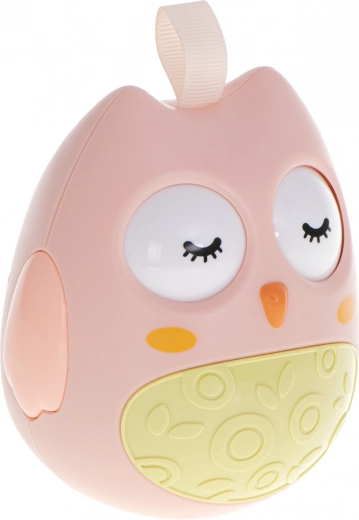 Dezvoltarea simțurilor într-o singură jucărie