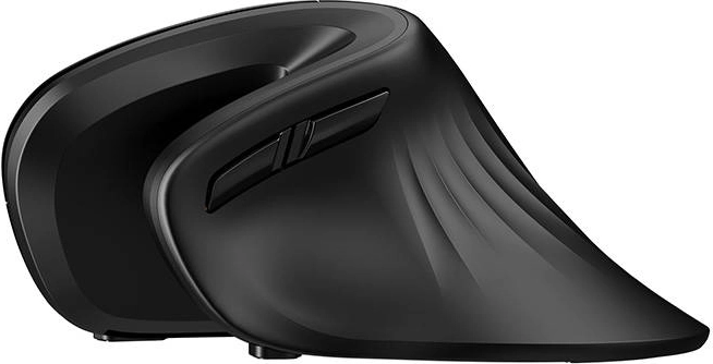 Opțiune dublă de conectare