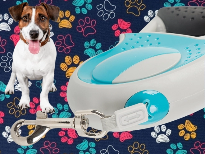 Lesa automată pentru câini, cu blocare, 5m, max 20kg