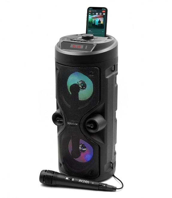 Receptor Bluetooth Harmony cu funcție karaoke