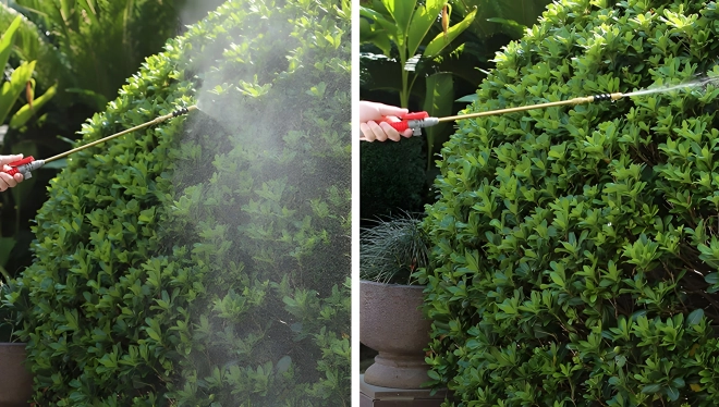 Pulverizator presiune grădină 5L Multigarden