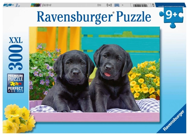 Puzzle Câini Labradori Negri XXL 300 Piese
