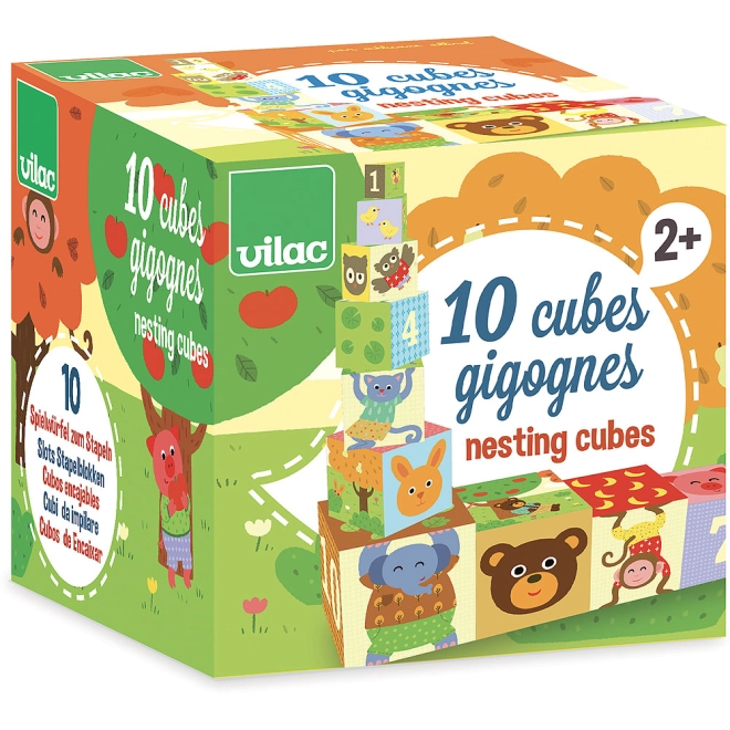 Set de 10 cuburi modulare