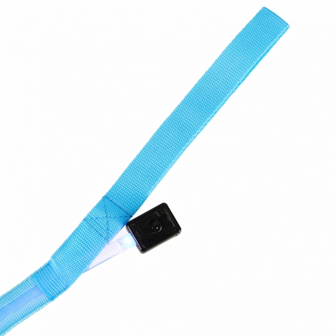Lesă pentru câini cu LED, albastră