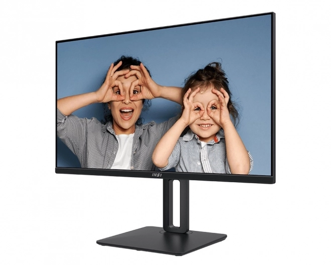 Monitor Pro 24,5 inch LED FHD Flat 100Hz Negru