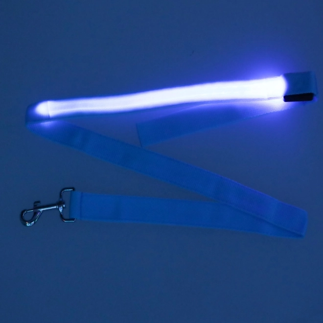 Lesă pentru câini cu LED, albastră