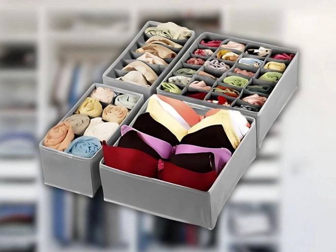 Set organizatoare sertare pentru lenjerie