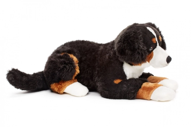 Jucărie din pluș câine Bernese Muntean 65 cm