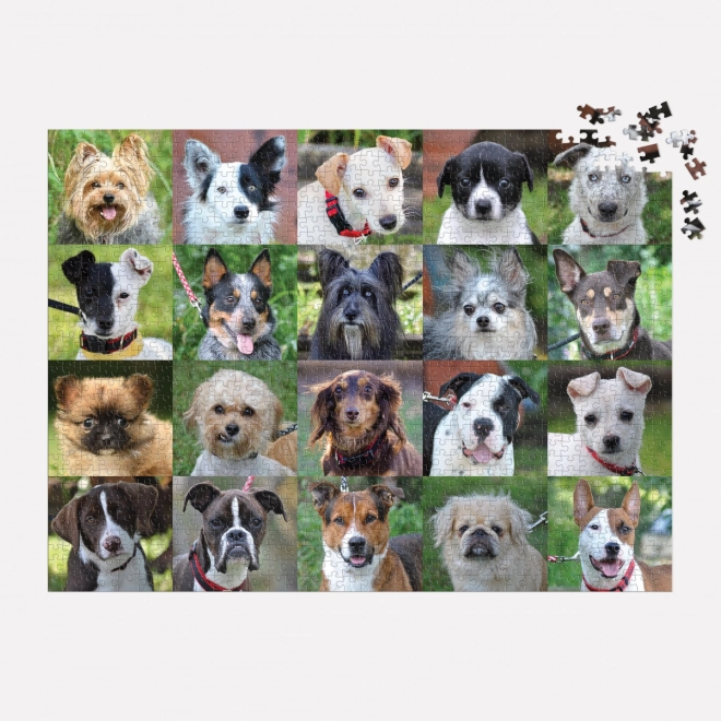 Puzzle Galison Câini din adăpost 1000 piese
