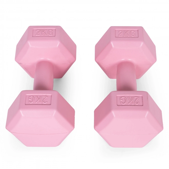 Set de gantere roz 2x2 kg ModernHome pentru fitness