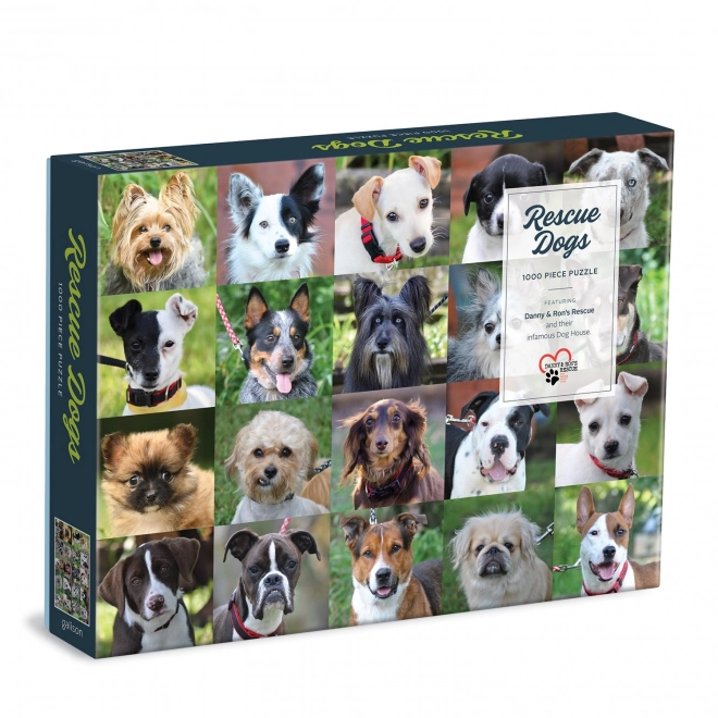 Puzzle Galison Câini din adăpost 1000 piese