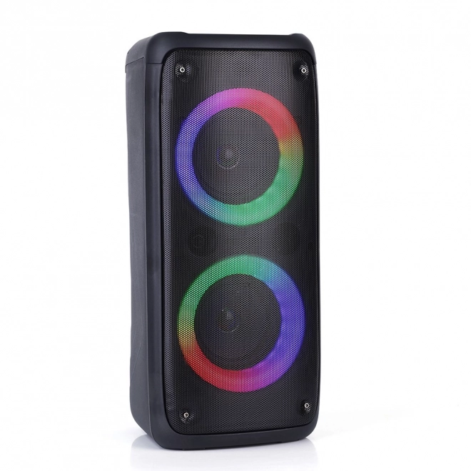 Box portabil cu bluetooth și karaoke