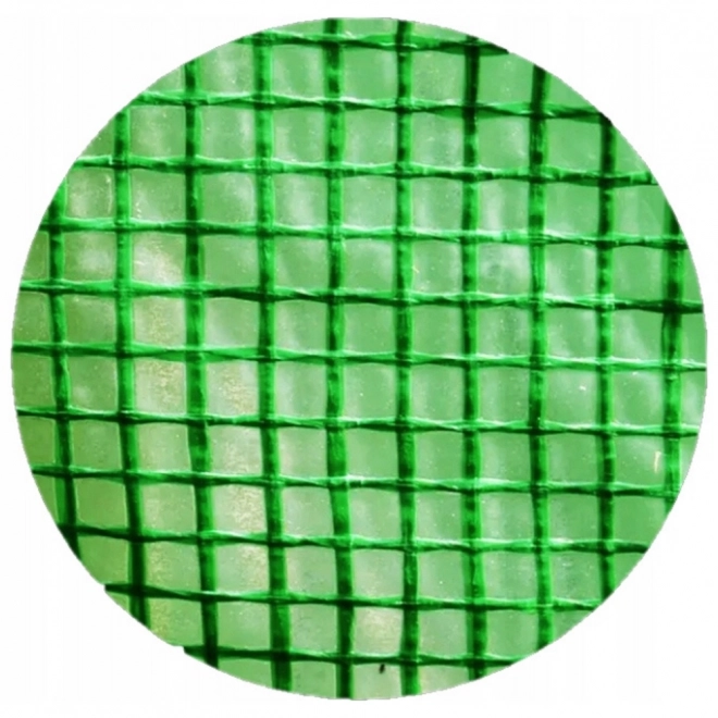 Tunel de grădină cu folie pentru legume 2x3 m