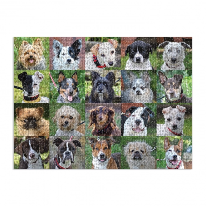 Puzzle Galison Câini din adăpost 1000 piese