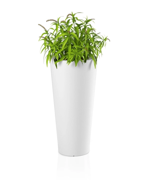 Design și stil unic
