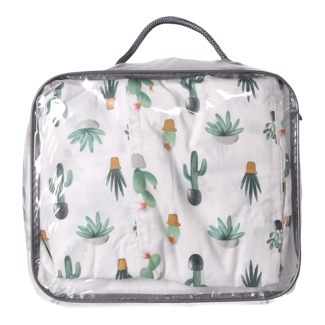 Model stilat cu cactuși pentru orice interior