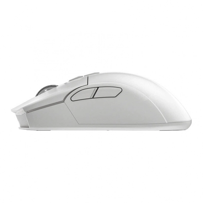 Mouse fără fir Darmoshark N3