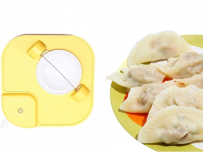 Aparat electronic pentru prepararea pateurilor