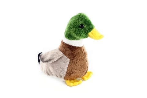 Rață de pluș 16 cm