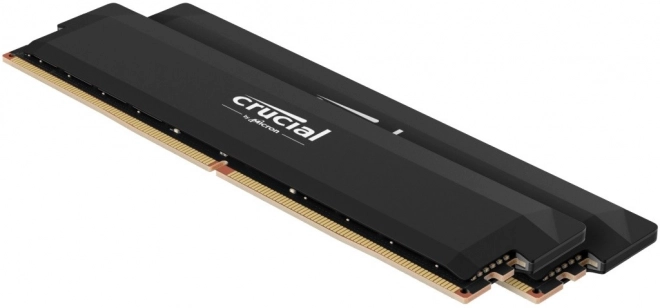 Memorie Crucial DDR5 Pro Overclocking 32 GB